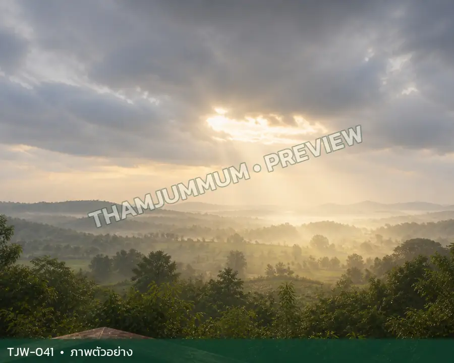 TJW-041 ภาพวิถีธรรมชาติ