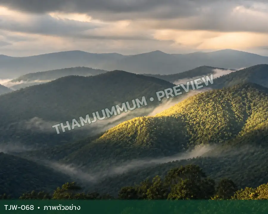 TJW-068 ภาพวิถีธรรมชาติ